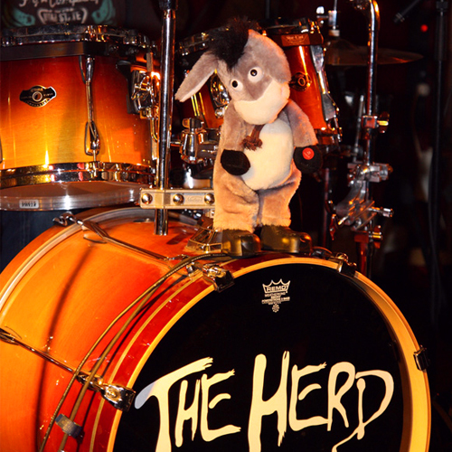 Rocko el Schlappohr